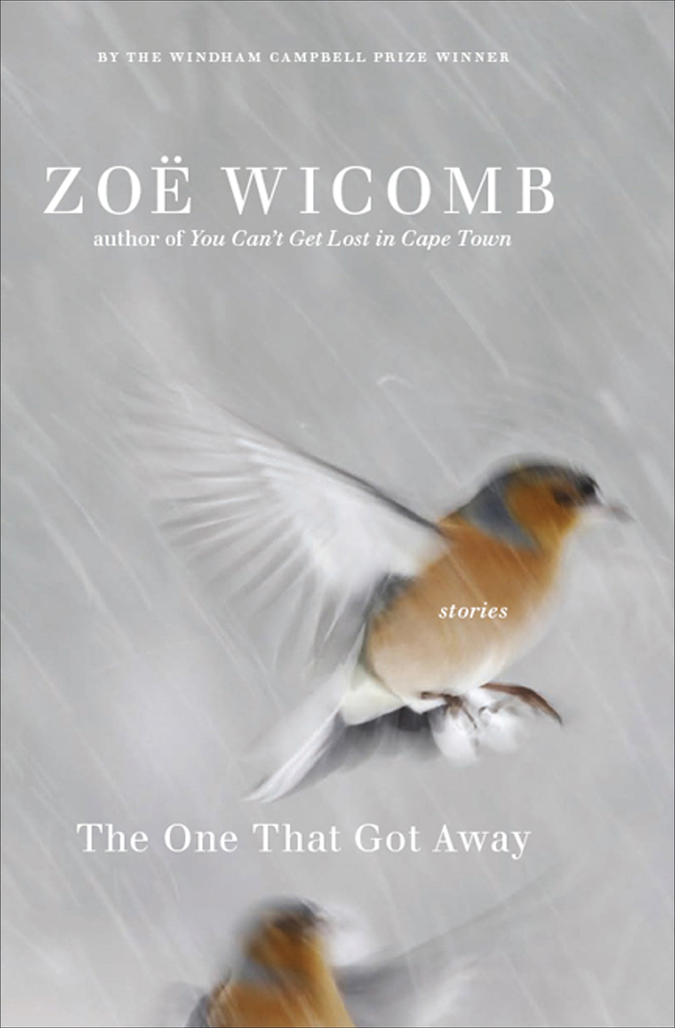 Cover image for The One That Got Away ISBN 9781595585127
